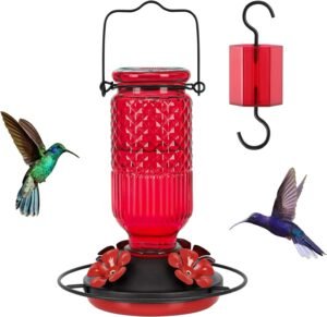 71aELGG-cwL._AC_SL1500_ FEED GARDEN Comedero de vidrio para colibríes para colgar al aire libre, comedero de colibríes de 16 onzas con 4 puertos de alimentación de protección de abeja y foso de hormigas Integrado, comedero